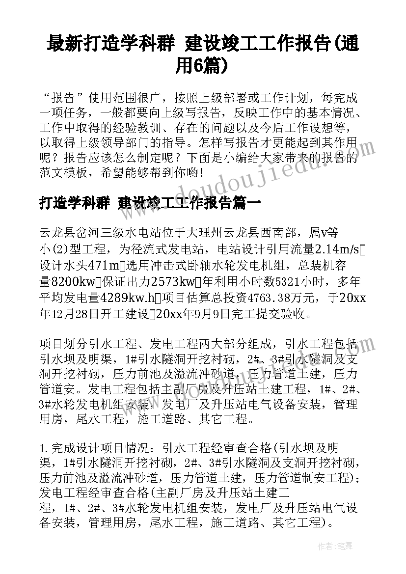 最新打造学科群 建设竣工工作报告(通用6篇)