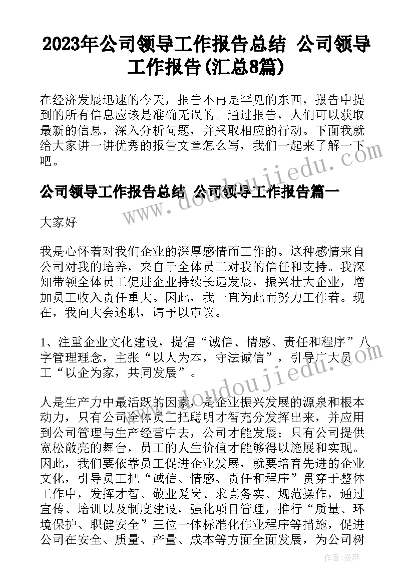 2023年公司领导工作报告总结 公司领导工作报告(汇总8篇)