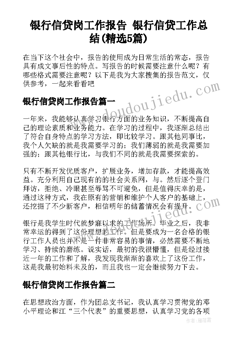 银行信贷岗工作报告 银行信贷工作总结(精选5篇)