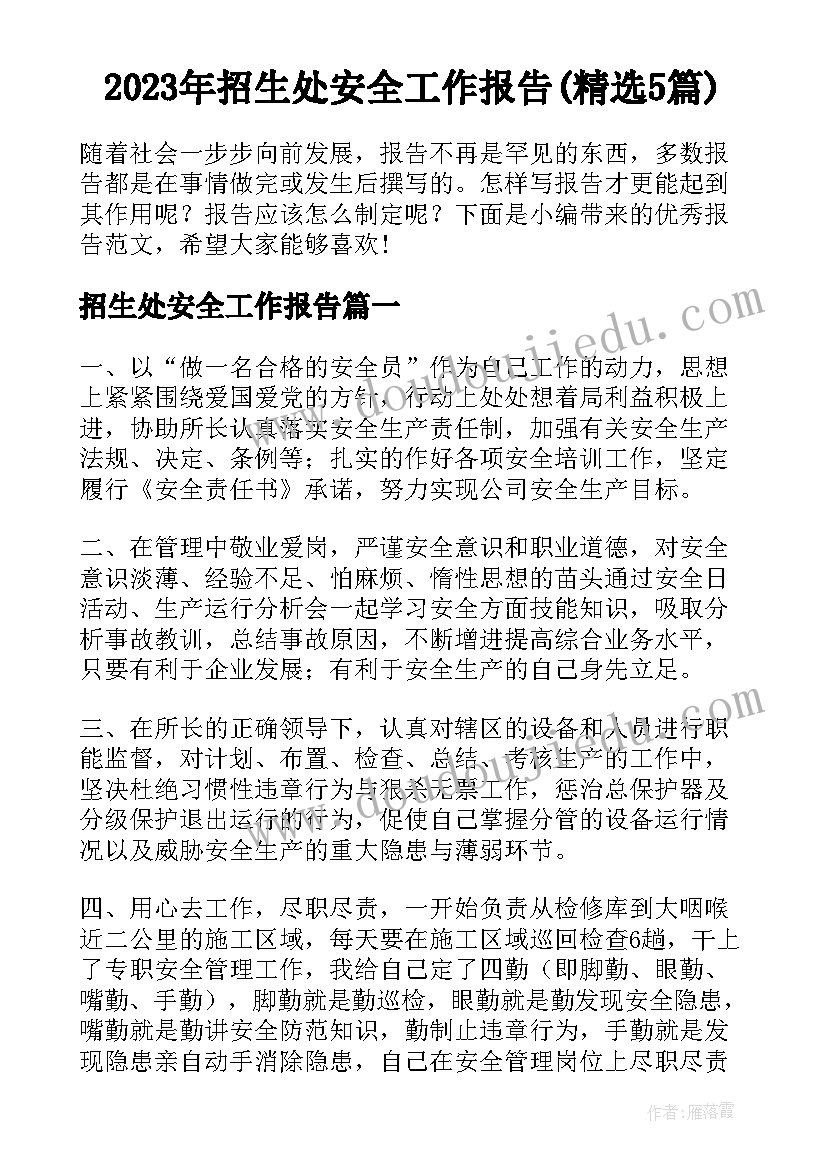 2023年招生处安全工作报告(精选5篇)