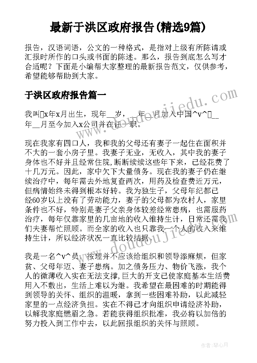 最新于洪区政府报告(精选9篇)