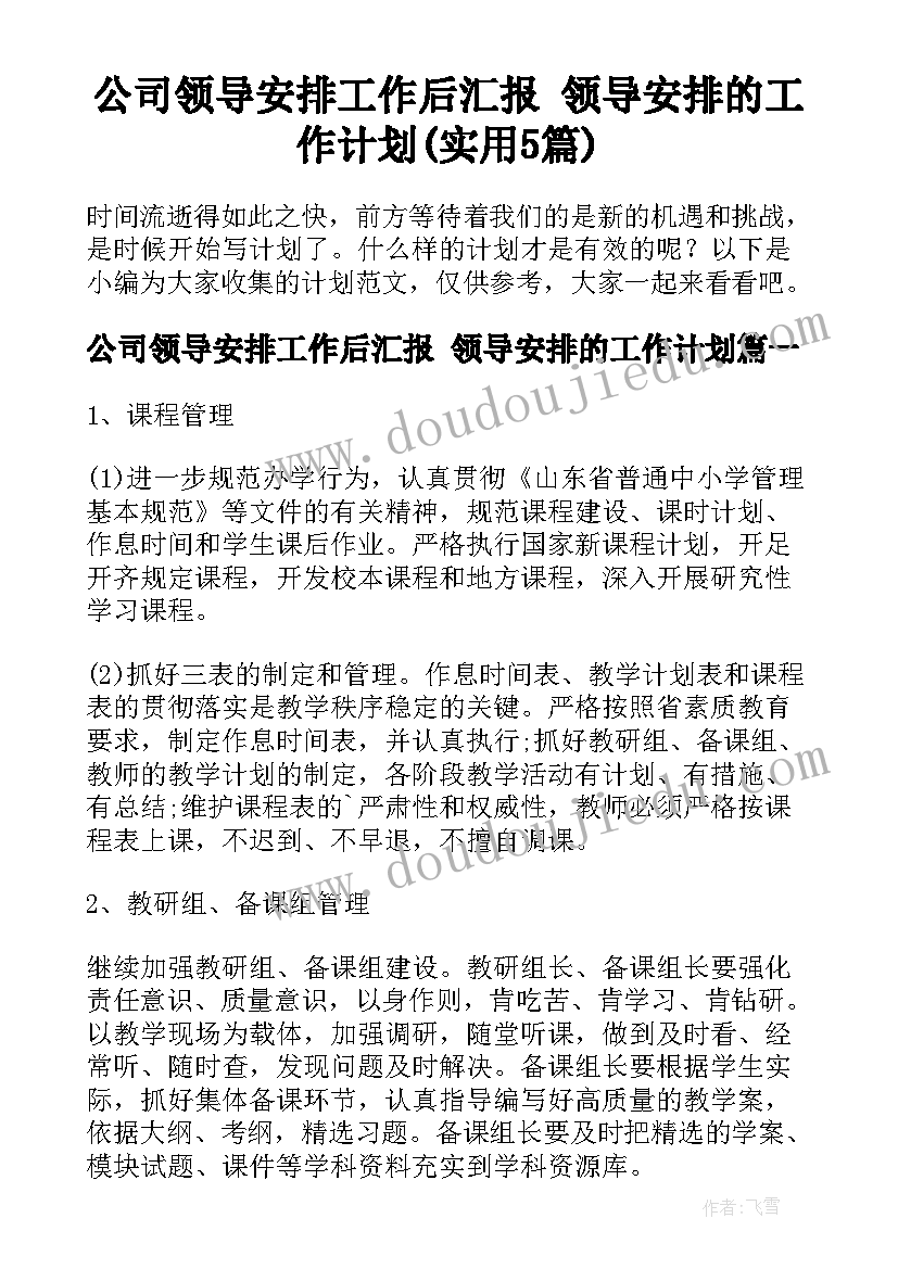 公司领导安排工作后汇报 领导安排的工作计划(实用5篇)