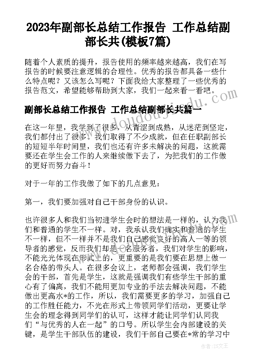 2023年副部长总结工作报告 工作总结副部长共(模板7篇)