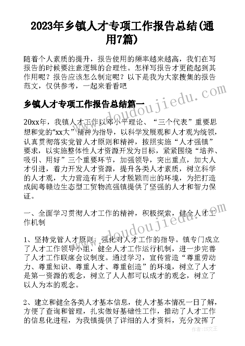 2023年乡镇人才专项工作报告总结(通用7篇)