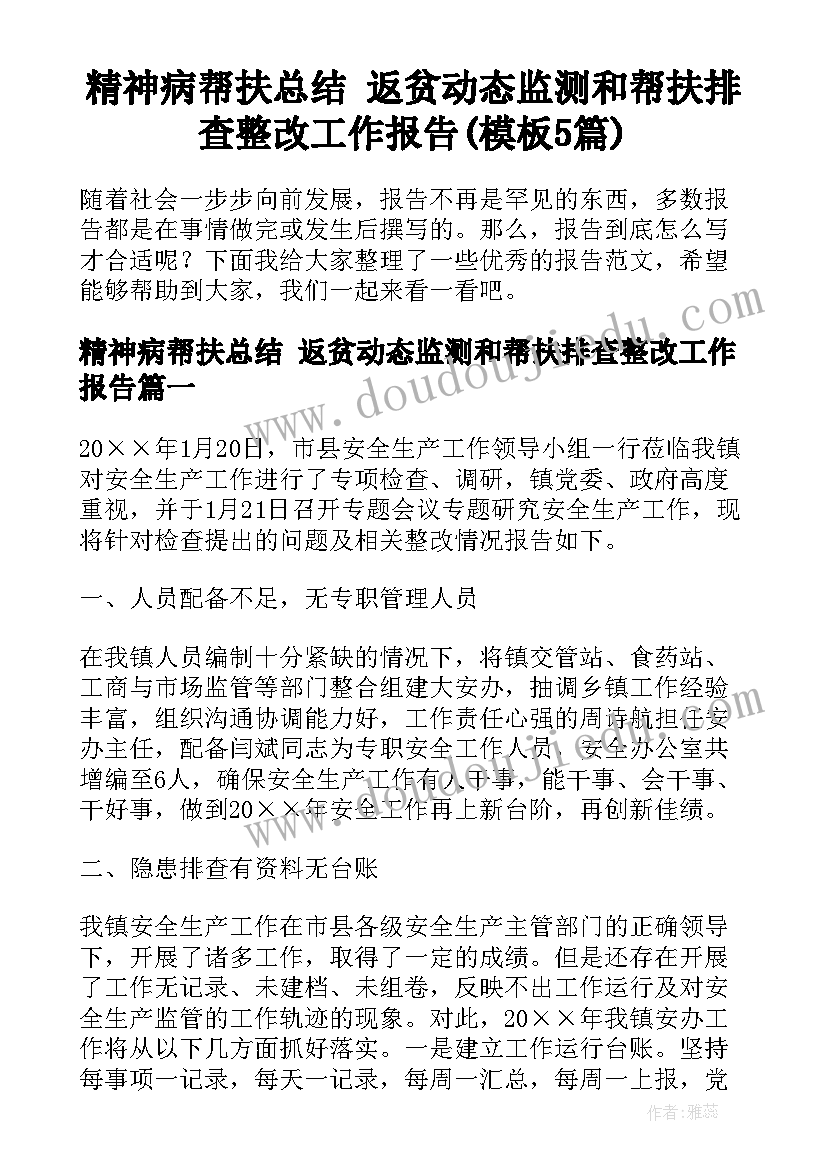 精神病帮扶总结 返贫动态监测和帮扶排查整改工作报告(模板5篇)