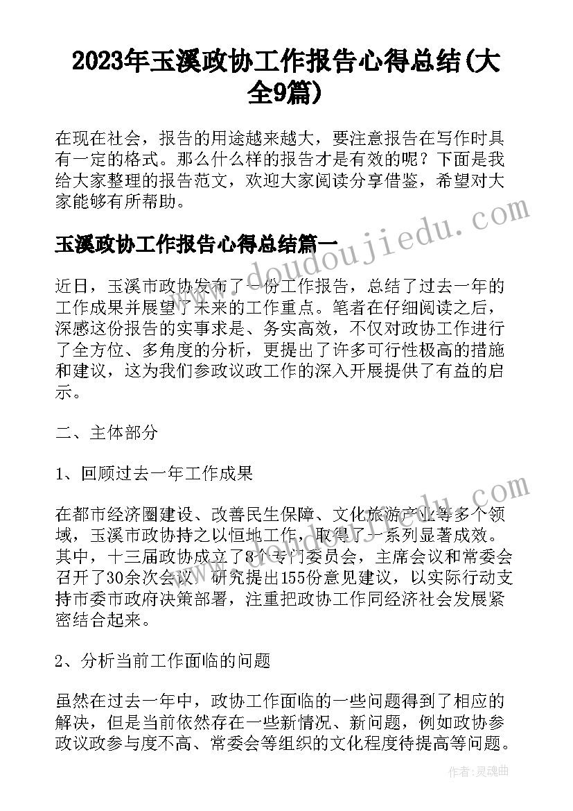 2023年玉溪政协工作报告心得总结(大全9篇)