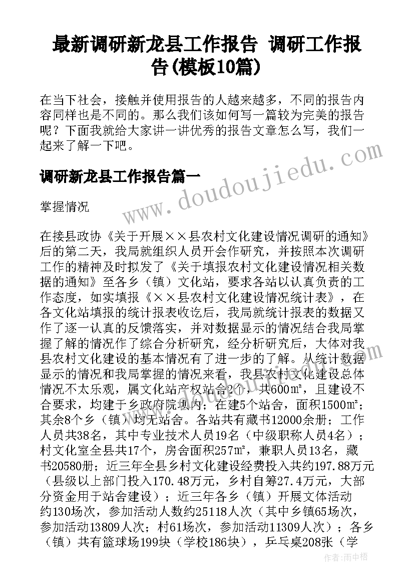 最新调研新龙县工作报告 调研工作报告(模板10篇)