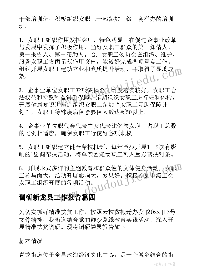 最新调研新龙县工作报告 调研工作报告(模板10篇)