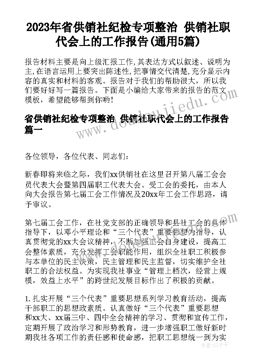 2023年省供销社纪检专项整治 供销社职代会上的工作报告(通用5篇)