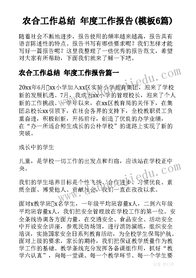 农合工作总结 年度工作报告(模板6篇)