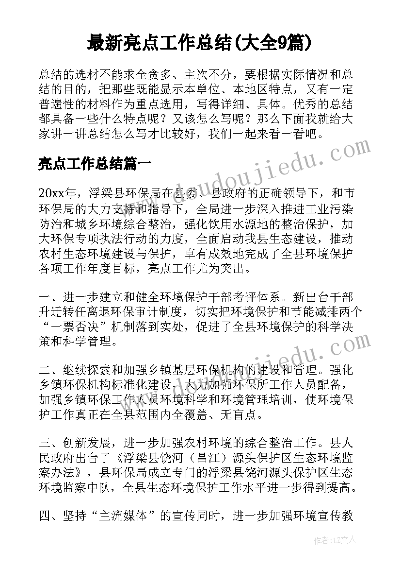 最新亮点工作总结(大全9篇)