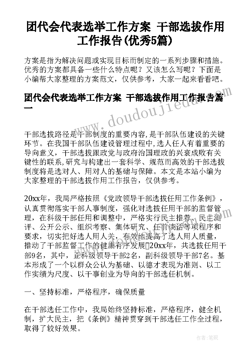 团代会代表选举工作方案 干部选拔作用工作报告(优秀5篇)