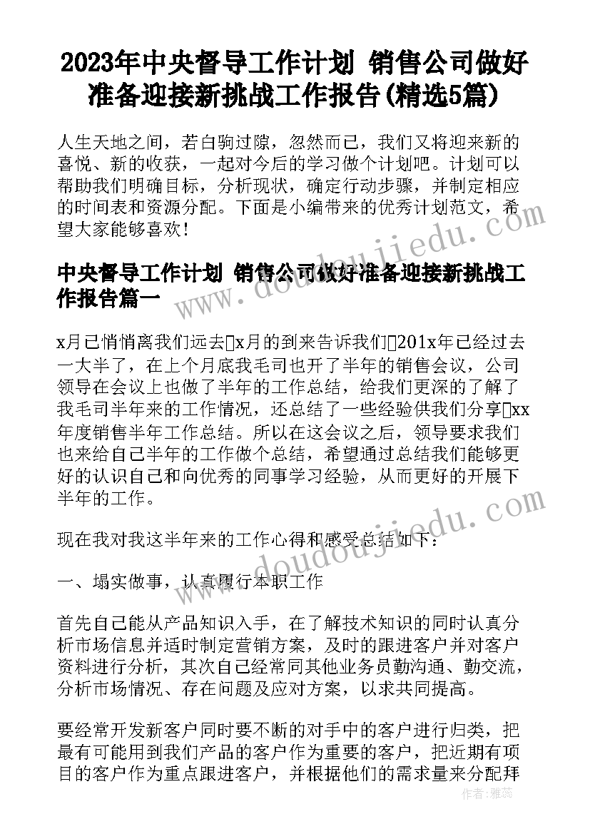 2023年中央督导工作计划 销售公司做好准备迎接新挑战工作报告(精选5篇)