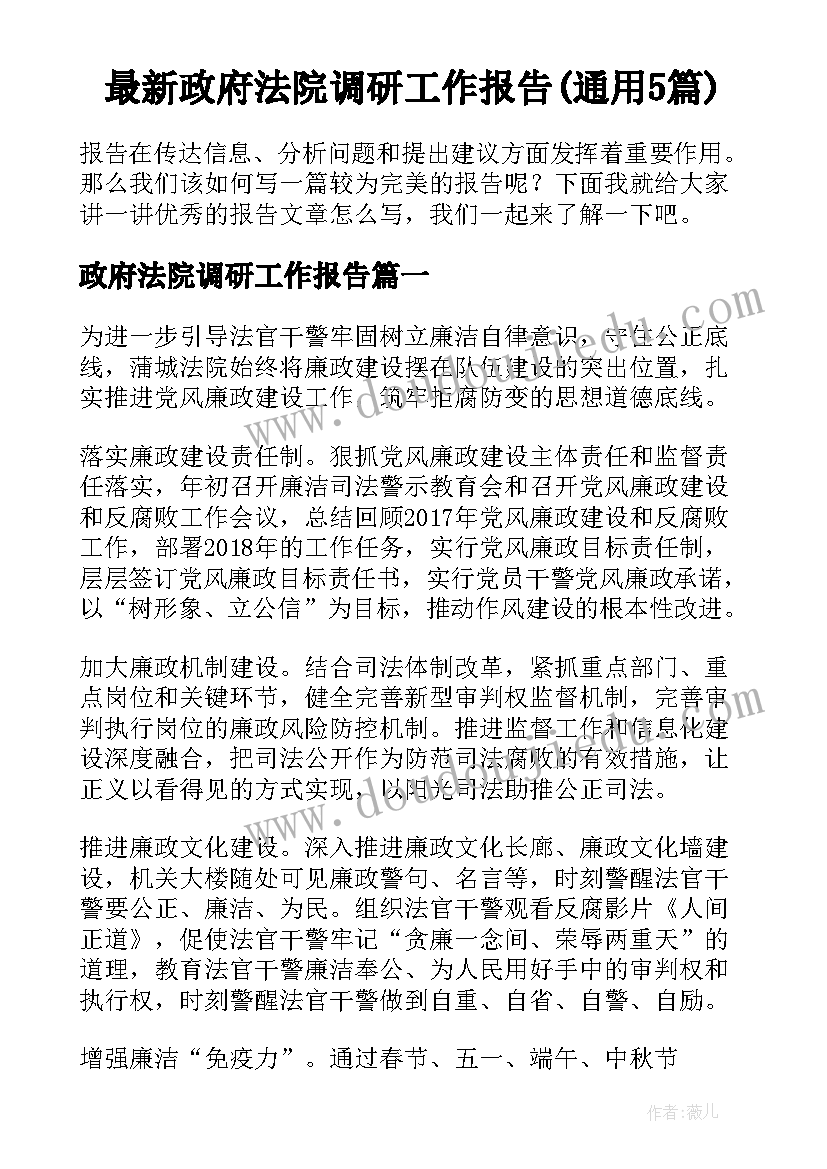 最新政府法院调研工作报告(通用5篇)