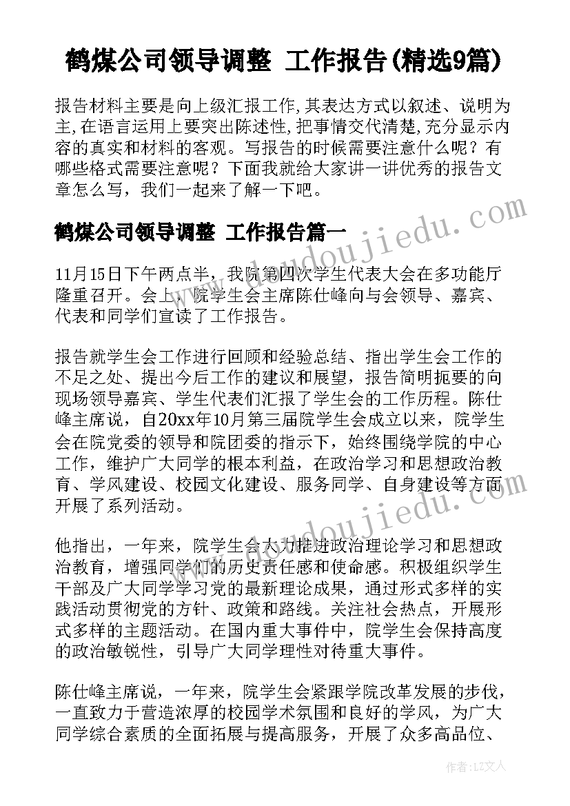 鹤煤公司领导调整 工作报告(精选9篇)