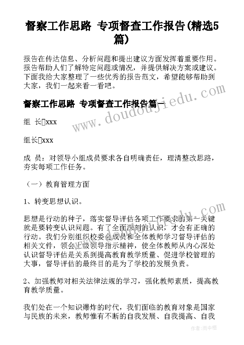 督察工作思路 专项督查工作报告(精选5篇)