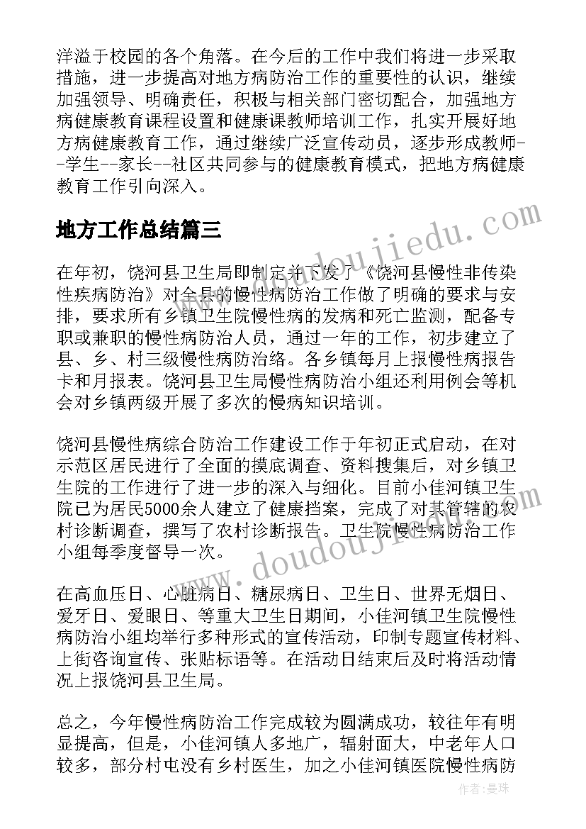 2023年地方工作总结(实用7篇)