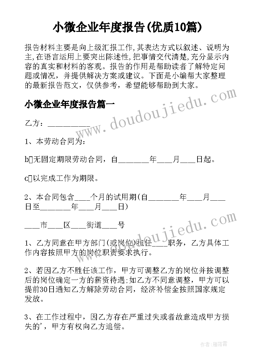 小微企业年度报告(优质10篇)