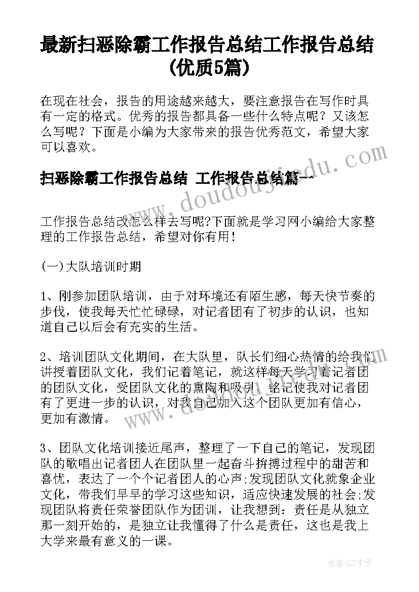 最新扫恶除霸工作报告总结 工作报告总结(优质5篇)