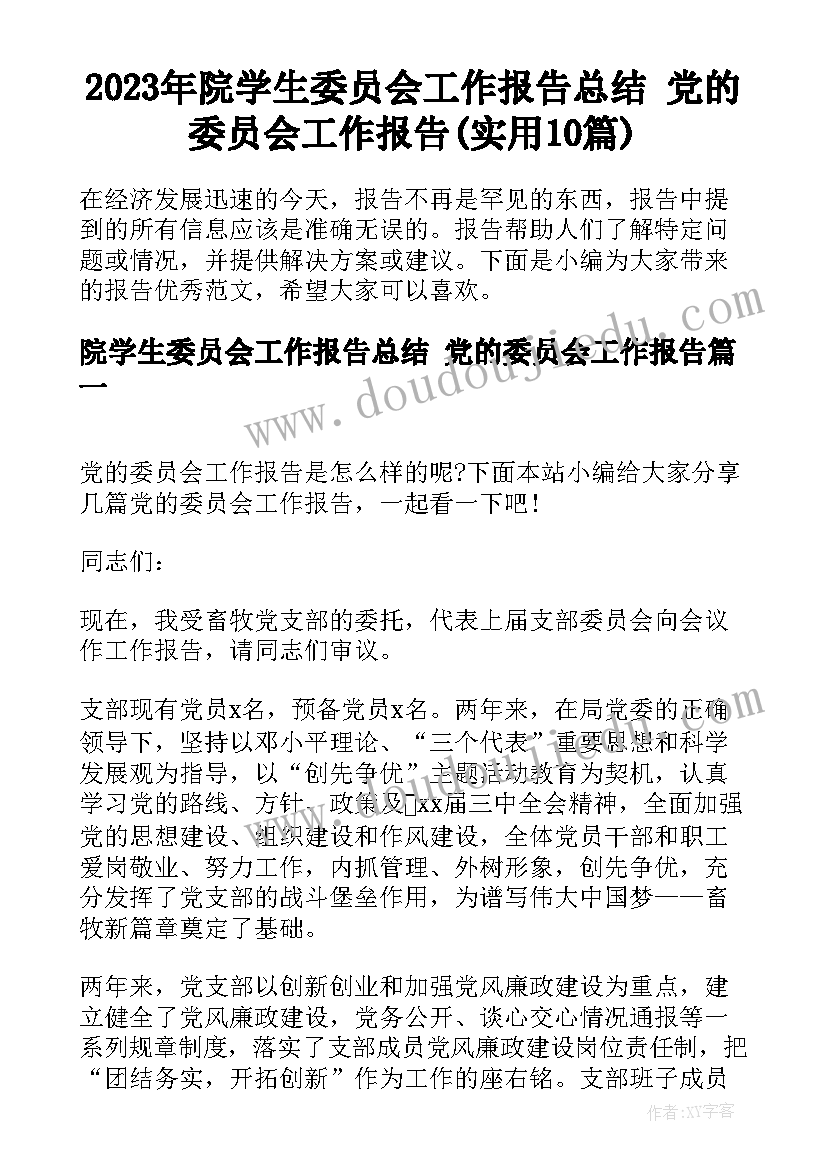 2023年院学生委员会工作报告总结 党的委员会工作报告(实用10篇)