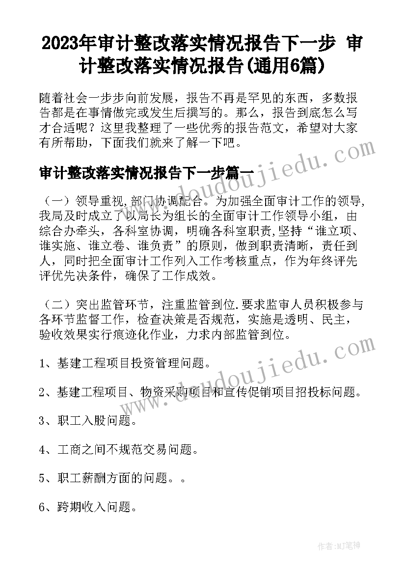 2023年审计整改落实情况报告下一步 审计整改落实情况报告(通用6篇)