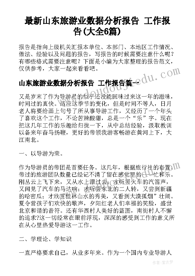 最新山东旅游业数据分析报告 工作报告(大全6篇)