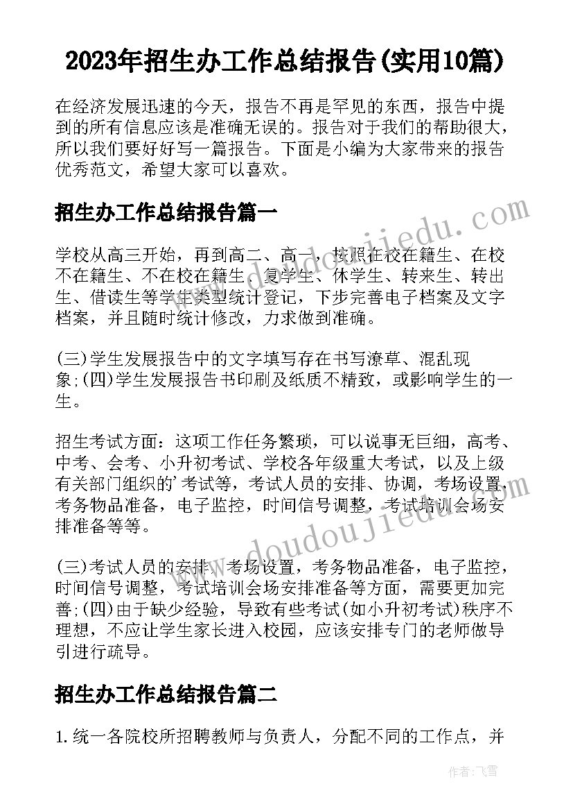 2023年招生办工作总结报告(实用10篇)