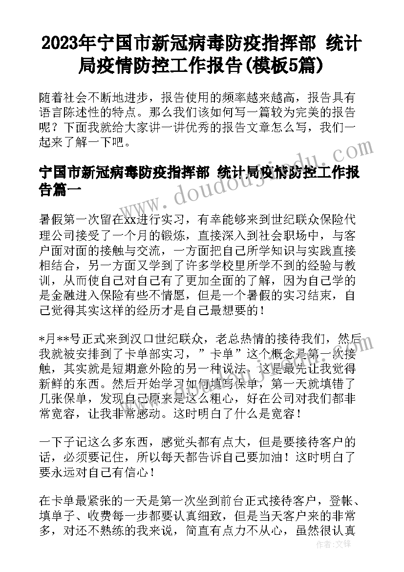 2023年宁国市新冠病毒防疫指挥部 统计局疫情防控工作报告(模板5篇)