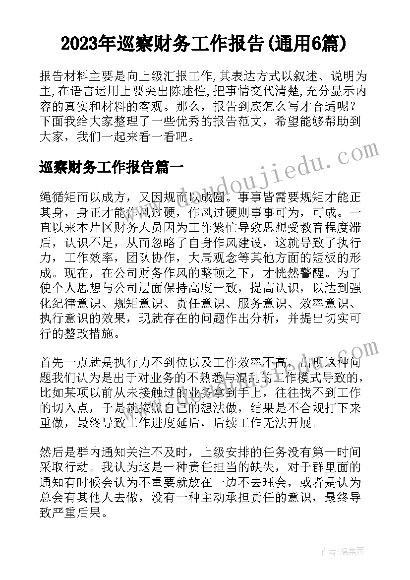 2023年巡察财务工作报告(通用6篇)