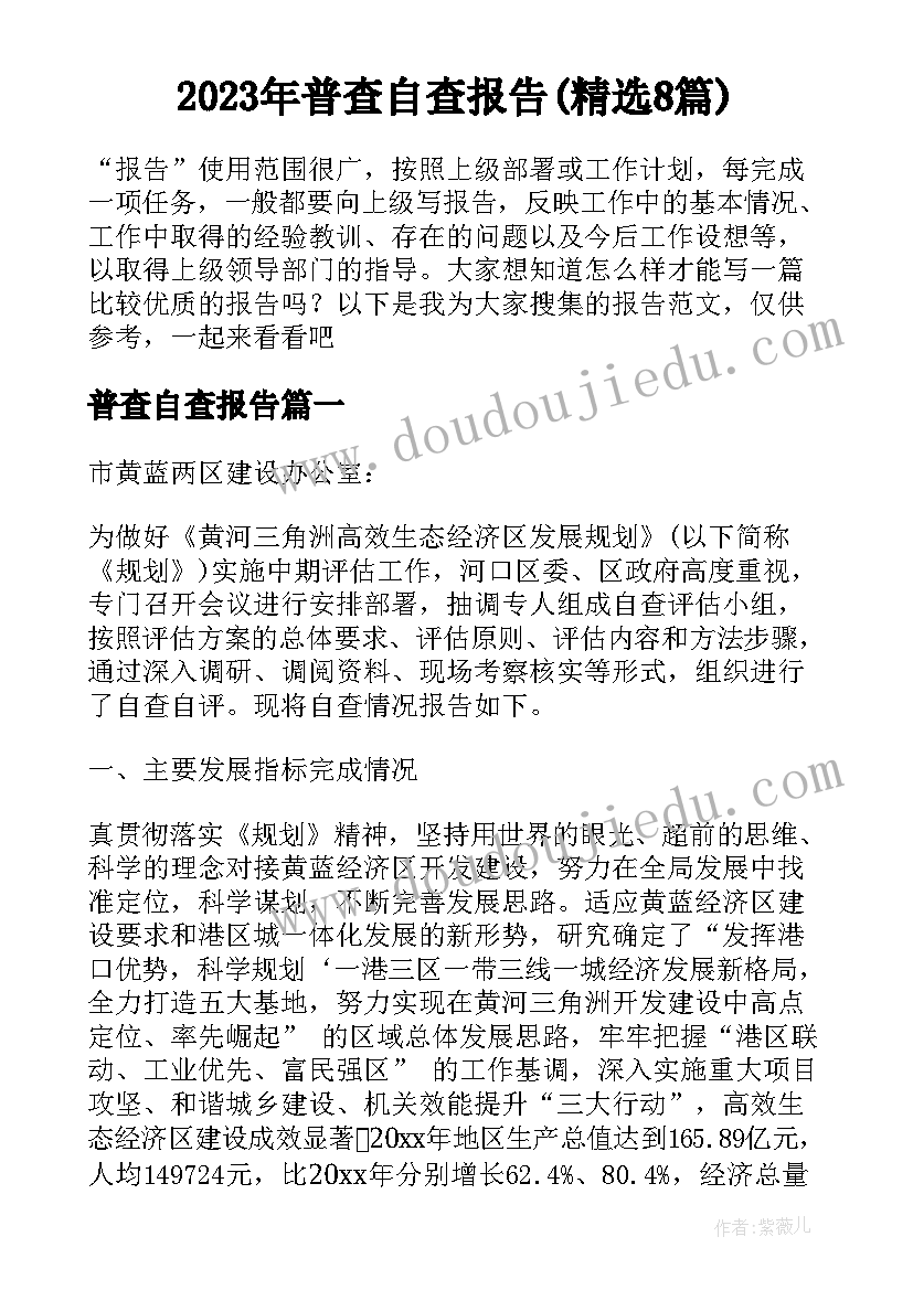 2023年普查自查报告(精选8篇)