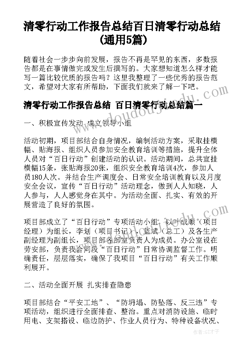 清零行动工作报告总结 百日清零行动总结(通用5篇)