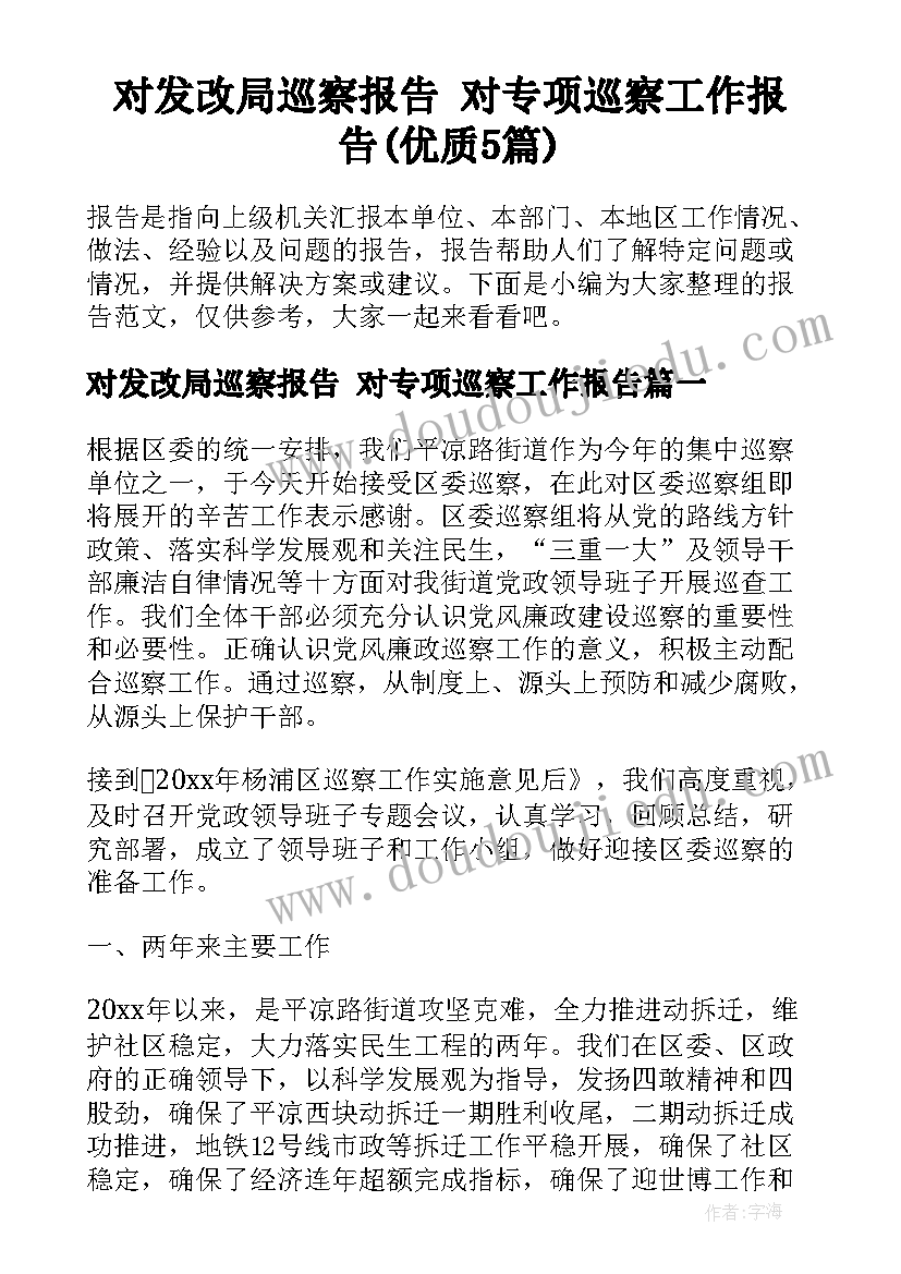 对发改局巡察报告 对专项巡察工作报告(优质5篇)