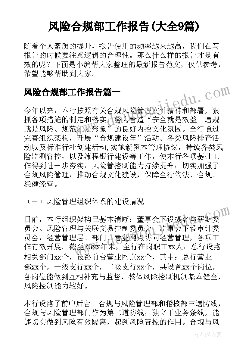 风险合规部工作报告(大全9篇)