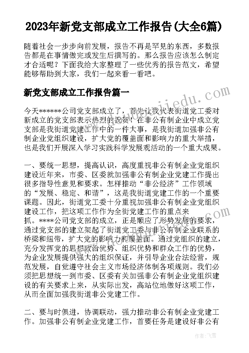 2023年新党支部成立工作报告(大全6篇)