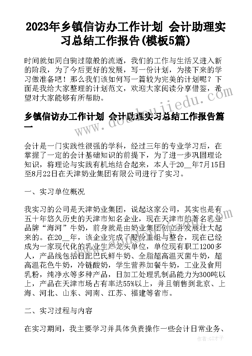 2023年乡镇信访办工作计划 会计助理实习总结工作报告(模板5篇)