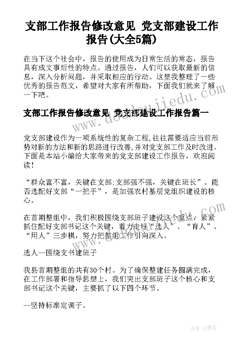 支部工作报告修改意见 党支部建设工作报告(大全5篇)