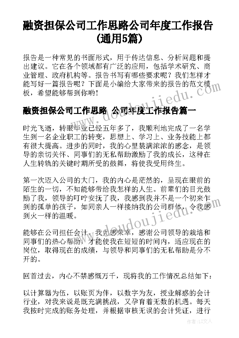 融资担保公司工作思路 公司年度工作报告(通用5篇)