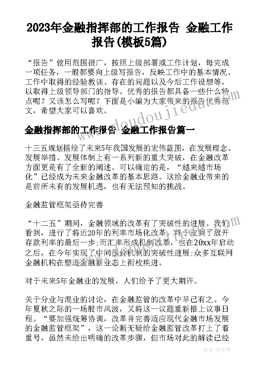 2023年金融指挥部的工作报告 金融工作报告(模板5篇)