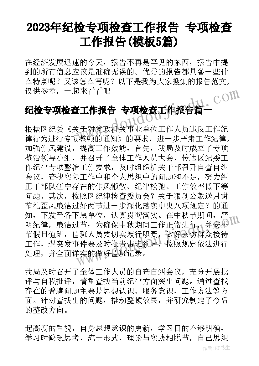 2023年纪检专项检查工作报告 专项检查工作报告(模板5篇)