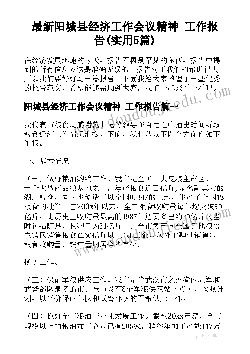 最新阳城县经济工作会议精神 工作报告(实用5篇)