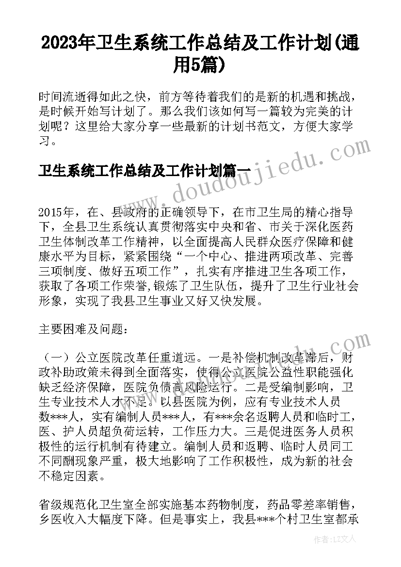 2023年卫生系统工作总结及工作计划(通用5篇)