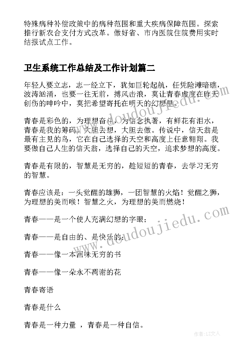 2023年卫生系统工作总结及工作计划(通用5篇)