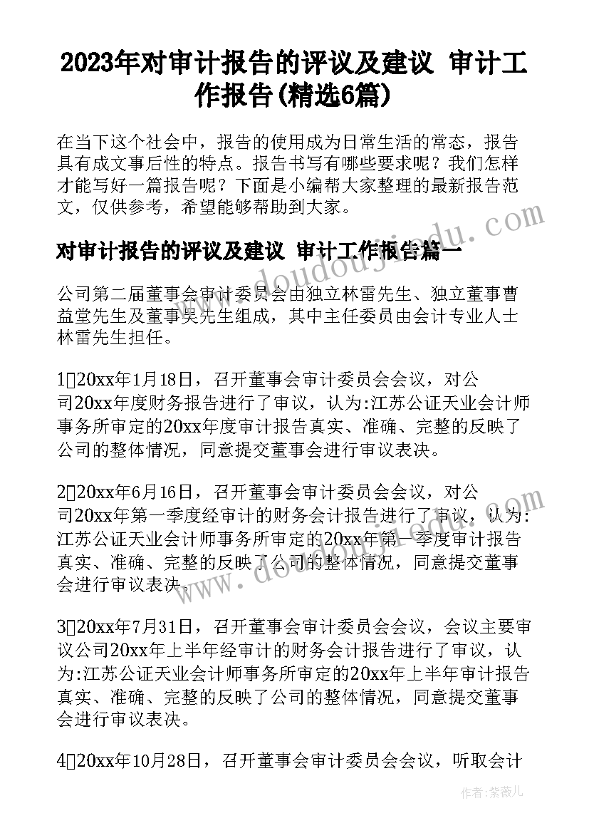 2023年对审计报告的评议及建议 审计工作报告(精选6篇)