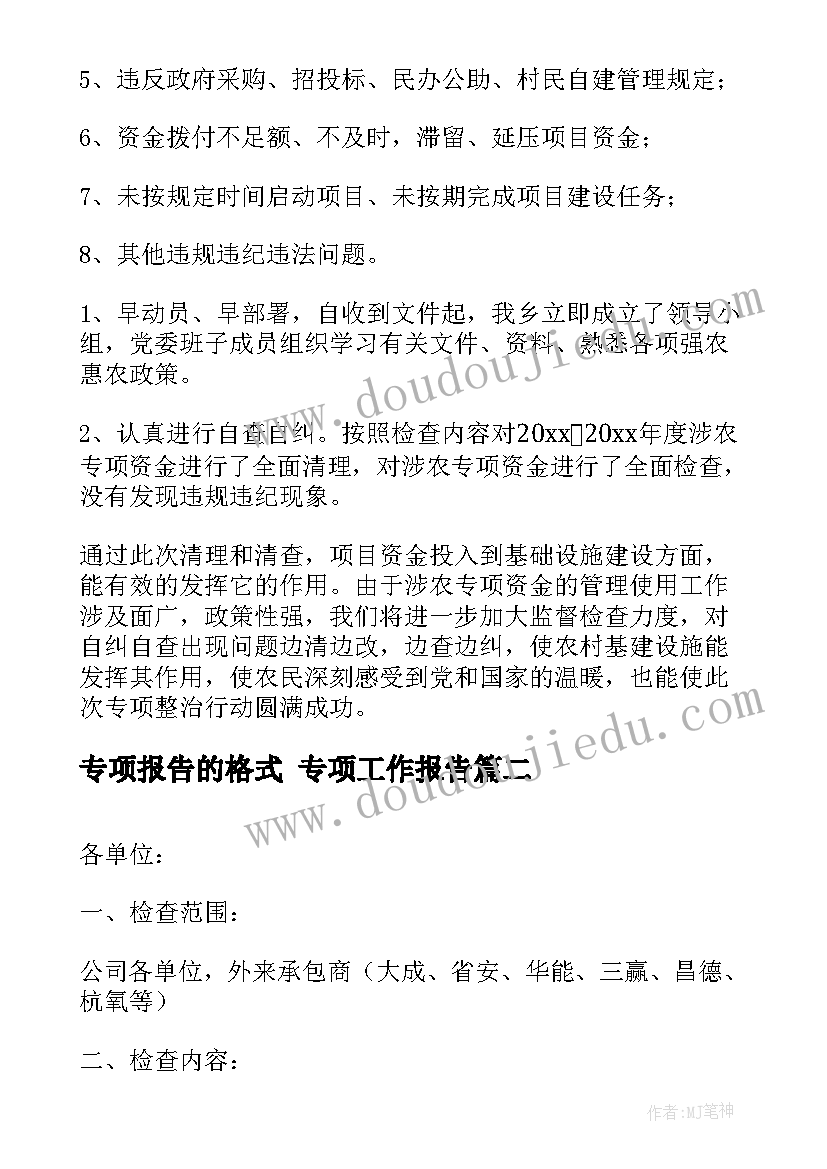 最新专项报告的格式 专项工作报告(精选7篇)