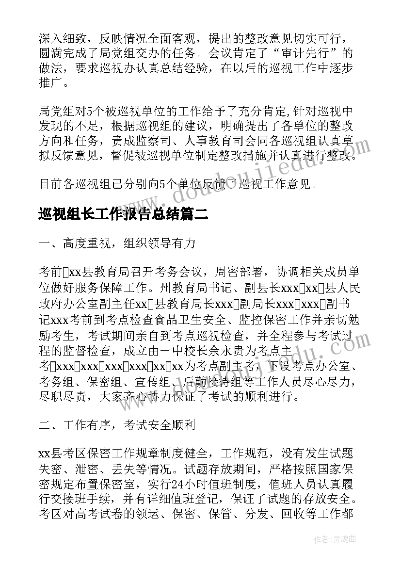 巡视组长工作报告总结(模板7篇)