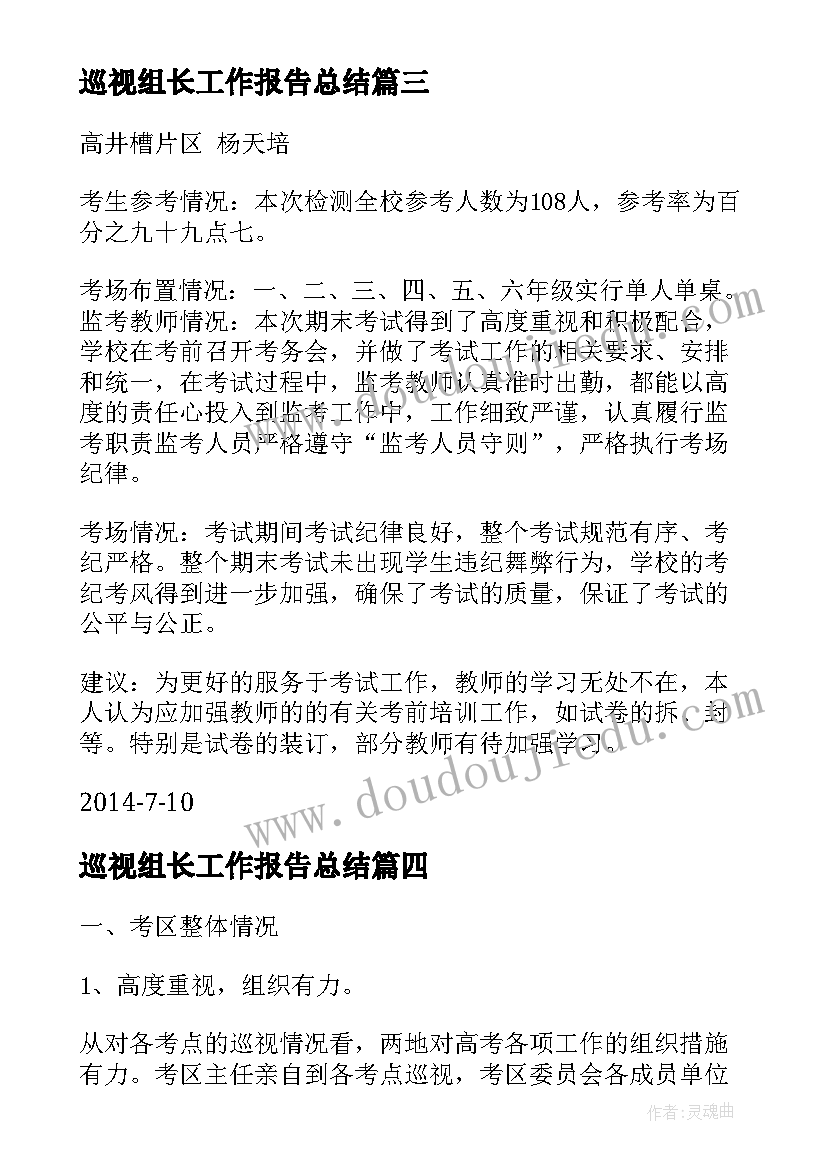 巡视组长工作报告总结(模板7篇)