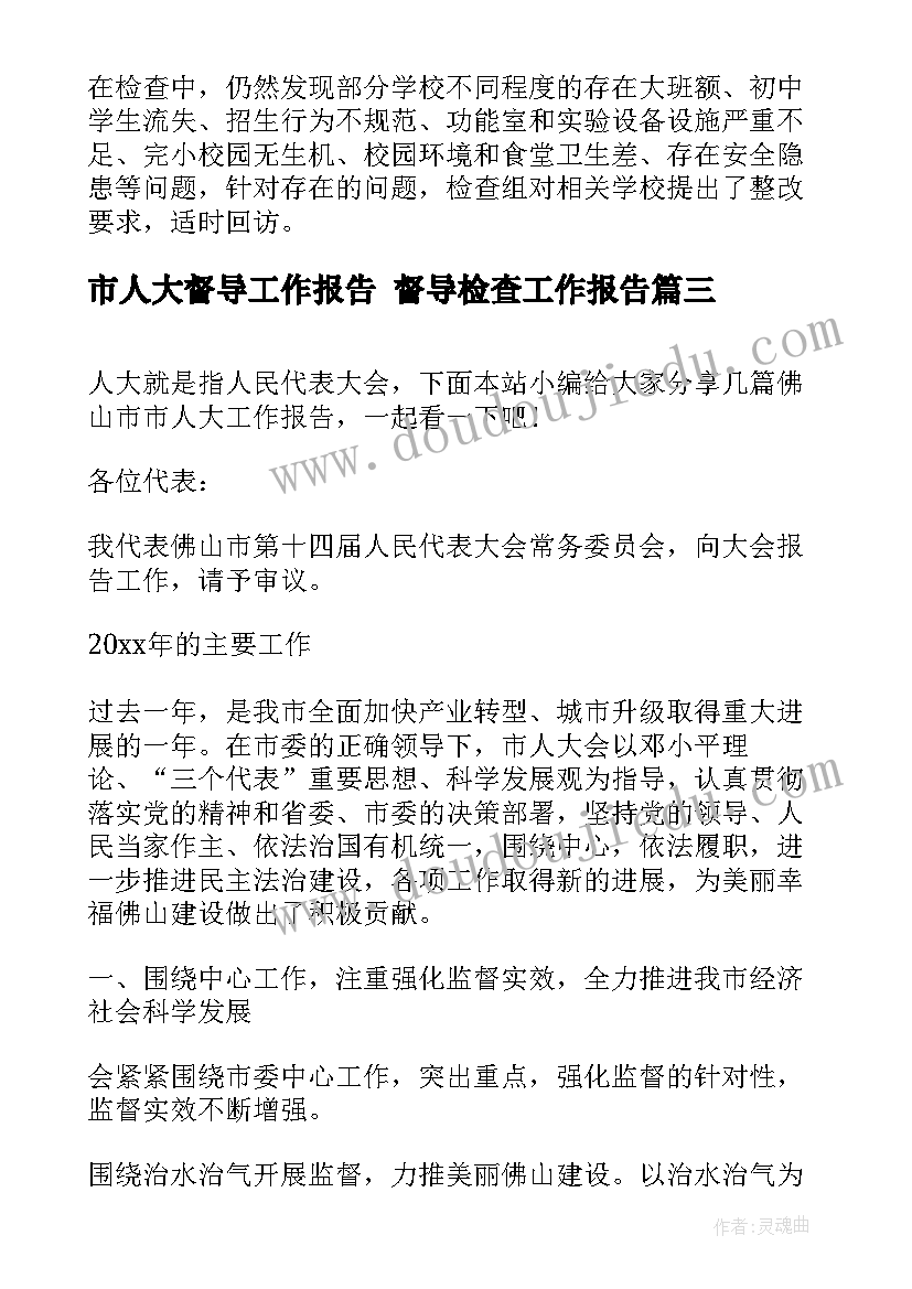 市人大督导工作报告 督导检查工作报告(大全5篇)