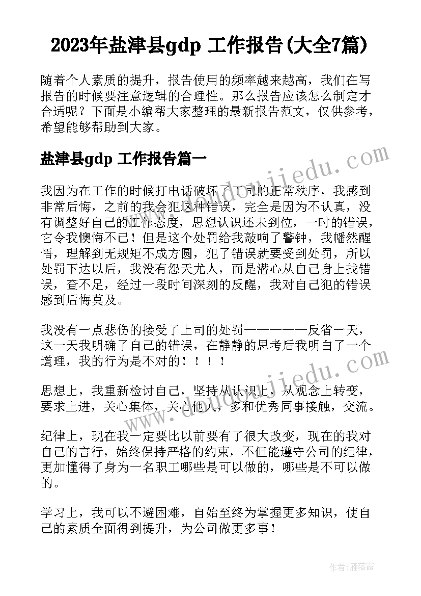 2023年盐津县gdp 工作报告(大全7篇)