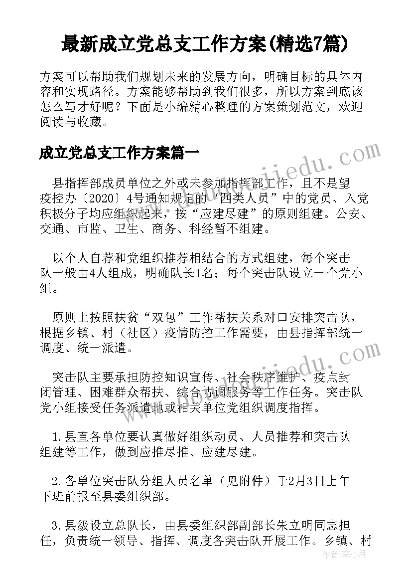 最新成立党总支工作方案(精选7篇)