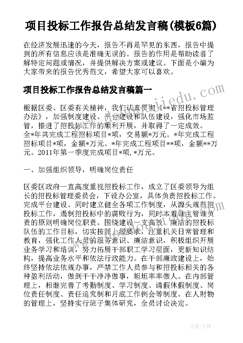 项目投标工作报告总结发言稿(模板6篇)